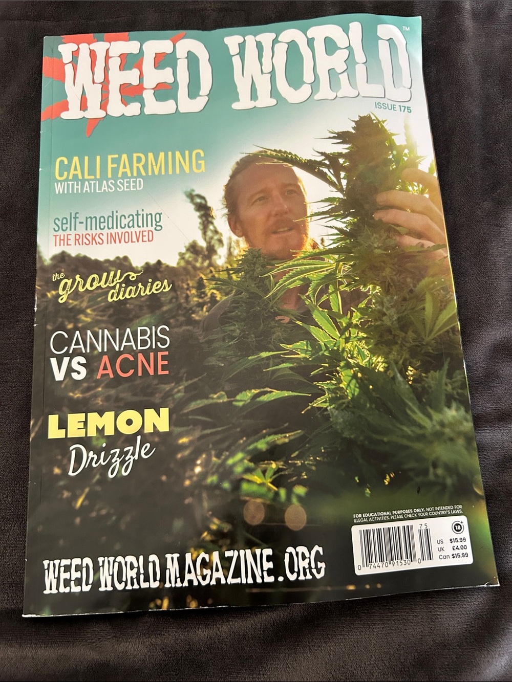 WW issue 175